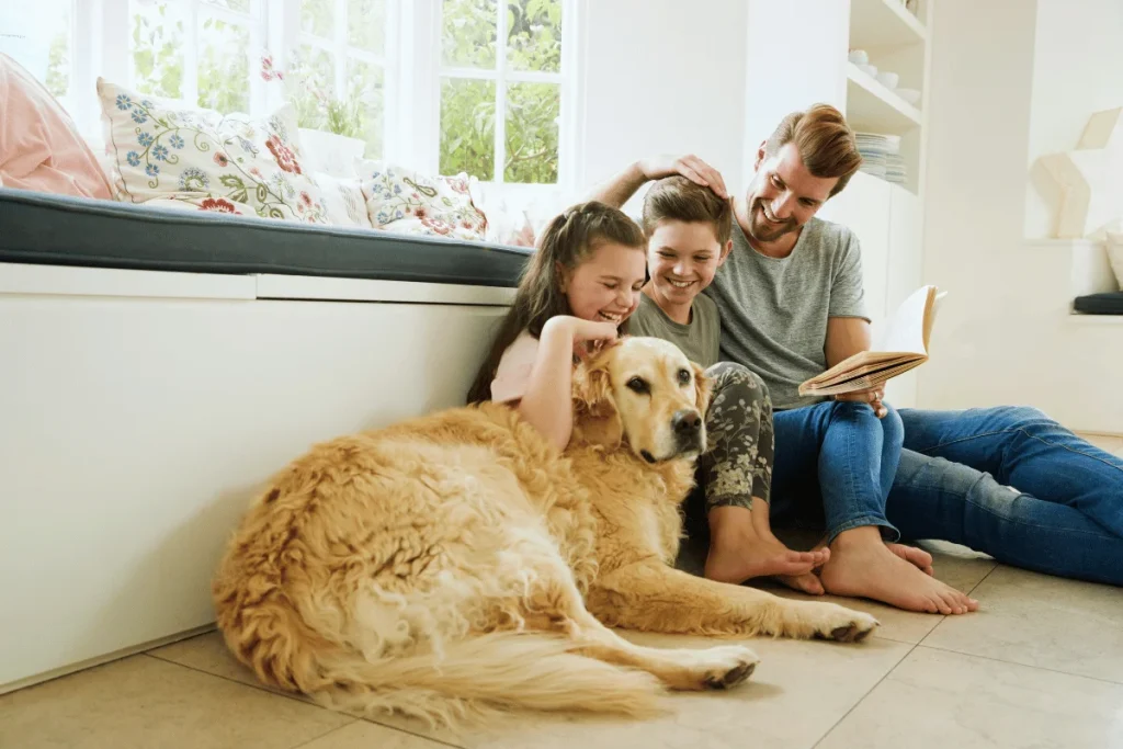 Get to know us cleaning